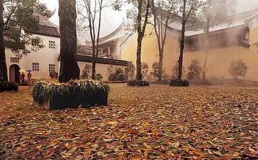 地震现象是由众生共业所感