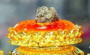 王孺童：佛教界对舍利崇奉问题需一次深入的反思