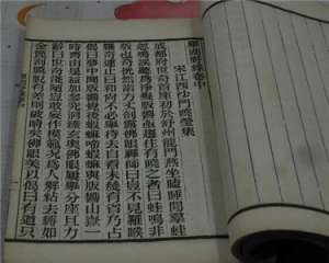 《罗湖野录》摭言