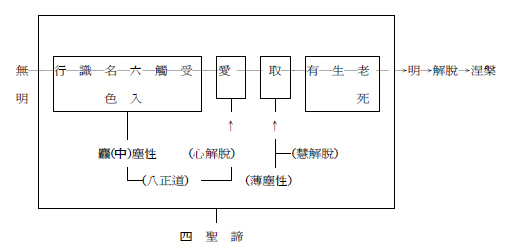 四圣谛、八正道与十二缘起之关系