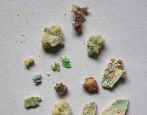 徐彬居士荼毗绿色舍利