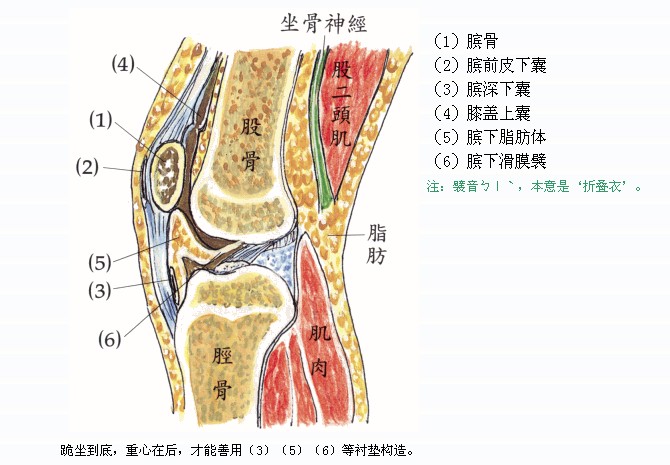 拜佛与医学 第十一讲