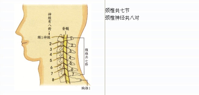 拜佛与医学 第五讲