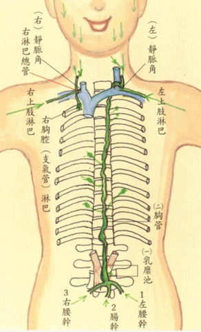 拜佛与医学 第七讲