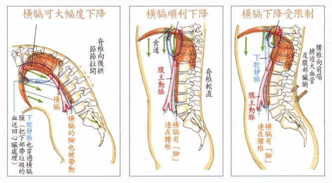 拜佛与医学 第二十四讲