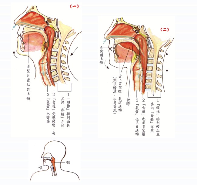 拜佛与医学 第五讲