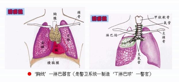 拜佛与医学 第一讲
