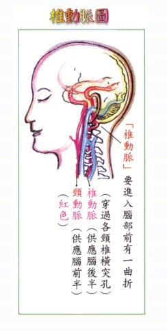拜佛与医学 第六讲