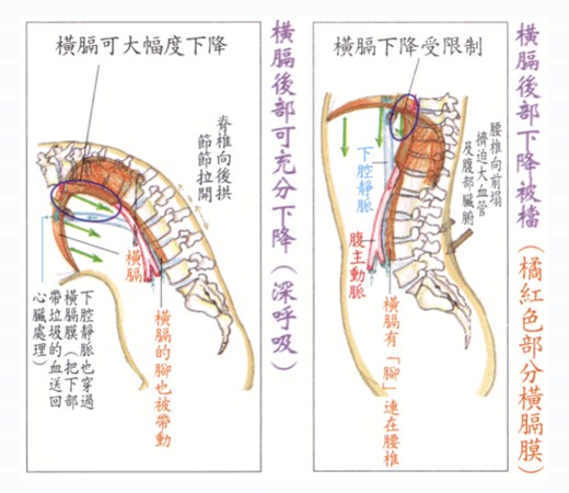 拜佛与医学 第七讲