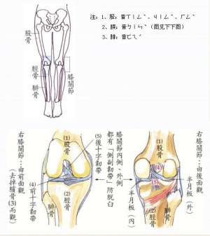 拜佛与医学 第十一讲