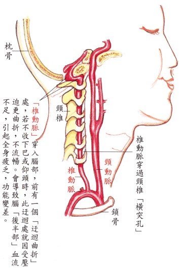 拜佛与医学 第五讲