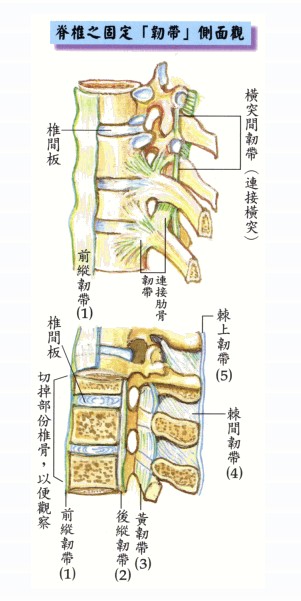 拜佛与医学 第六讲