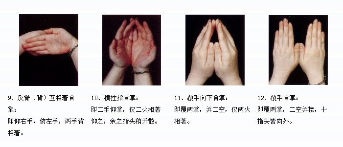 拜佛与医学 第一讲