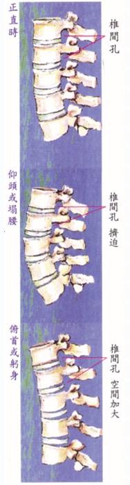 拜佛与医学 第六讲