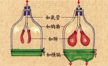 拜佛与医学 第二十四讲