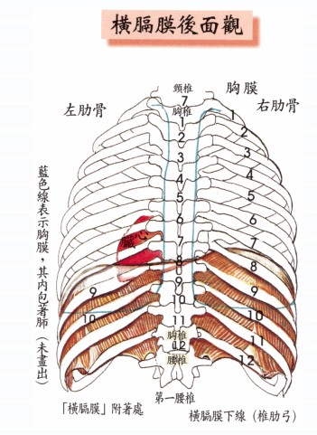 拜佛与医学 第二十四讲