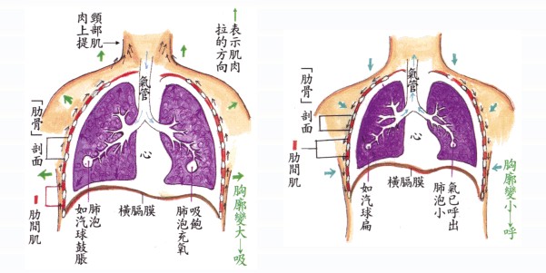 拜佛与医学 第二十四讲