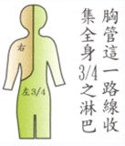 拜佛与医学 第七讲