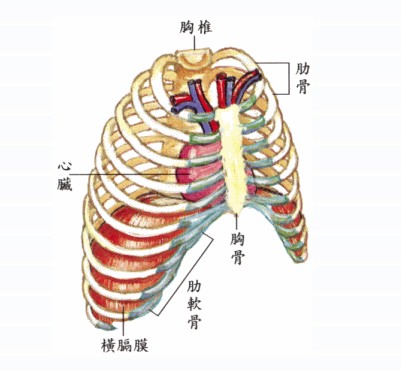 拜佛与医学 第二十四讲