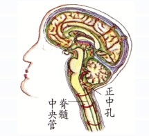 拜佛与医学 第五讲