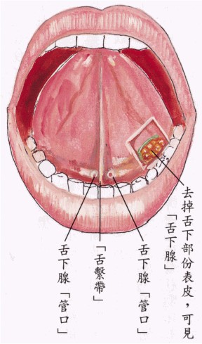 拜佛与医学 第二讲