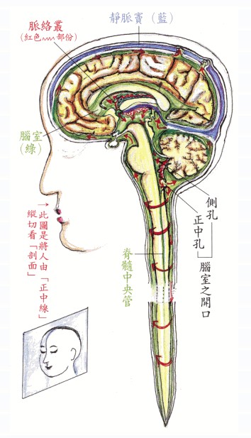 拜佛与医学 第五讲