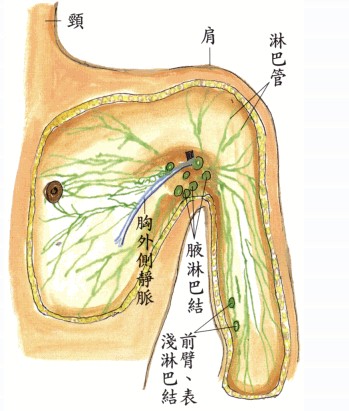 拜佛与医学 第十五讲