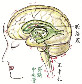 拜佛与医学 第五讲