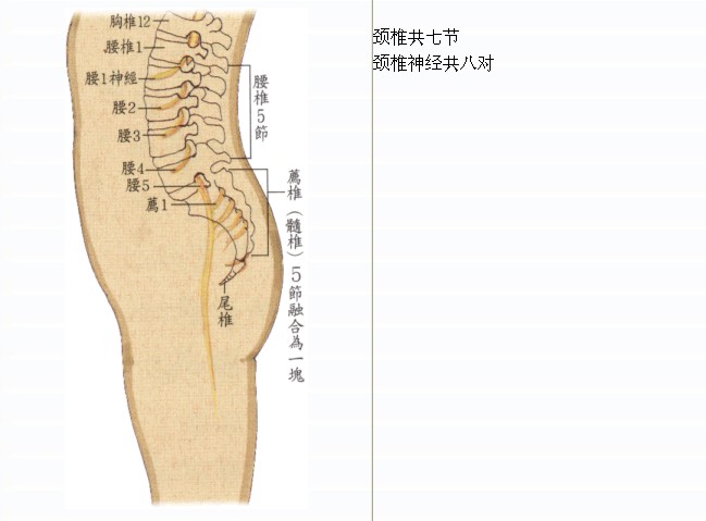 拜佛与医学 第七讲