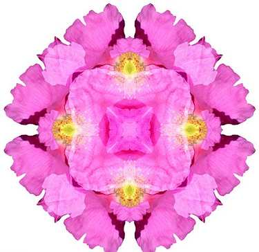 \