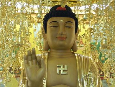 放生小心“生态杀手”