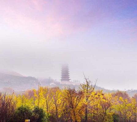 见忍法师：佛教思想与当代社会