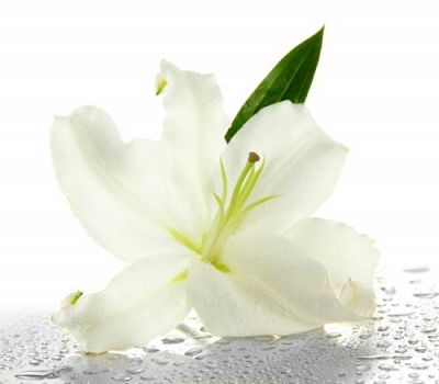 玄奘法师的般若因缘