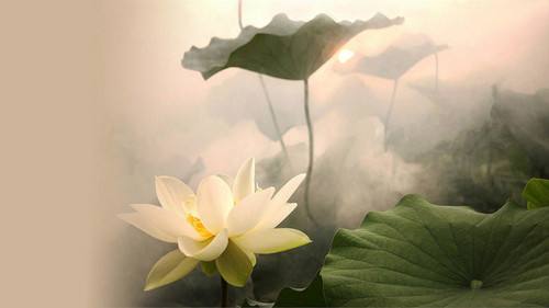 朋友过生日，女友送了个“佛性”蛋糕，打开后我们都“傻眼”了！