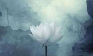 果清律师：往生极乐世界真实秘密的诀窍
