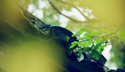莲花生大士：「无染觉性直观自行解脱之道」
