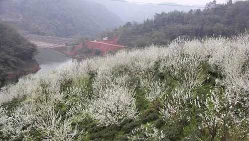 圣严法师讲大悲咒功德