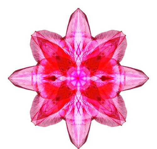 圣严法师翻译心经