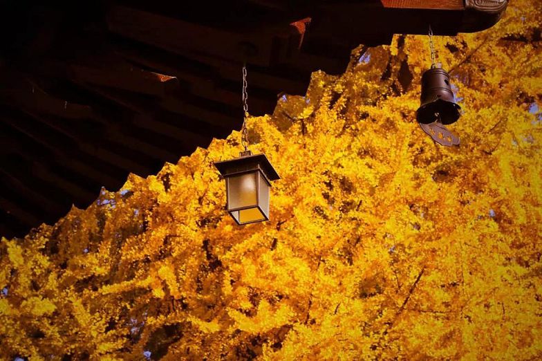 色拉乌孜山麓这个寺院由宗喀巴大师的弟子建造，为拉萨三大寺之一