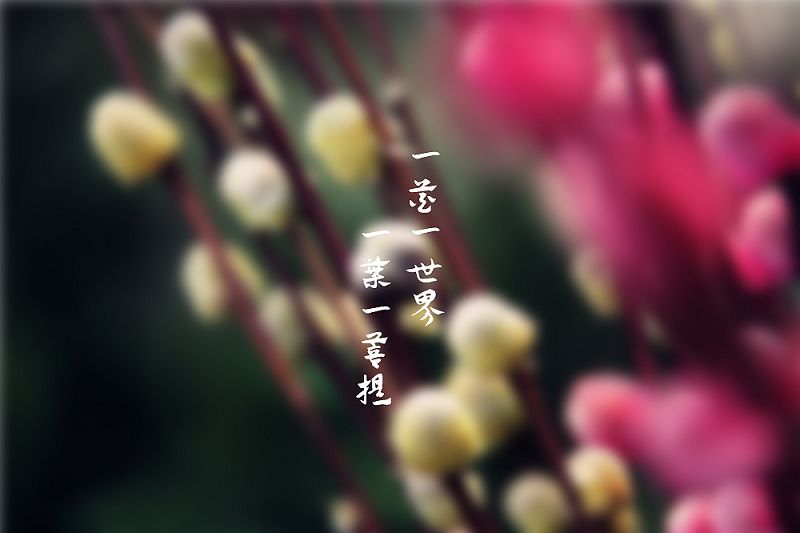 爱，就是慈悲！弘一法师的为人处世观，竟藏在他的这十句箴言里！