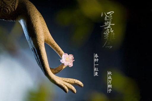 鉴真大师--为了佛法的事业，何惜生命