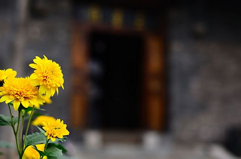 聪明反被聪明误，关于邪智与正智，佛经如是说